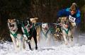 838 - HUSKY RACER 29 - KWAN PHILLIP - canada